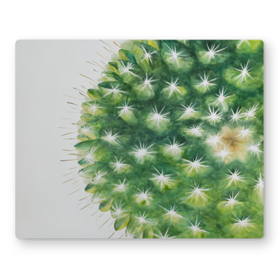 Watercolor Mini Cactus - Exotic Bathroom Metal Print Decor