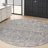 Oriental Indoor Rug-529142812