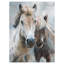 Brothers - impression sur toile tendue
