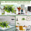 2Pack de plantes avec pot pour la décoration d'intérieur