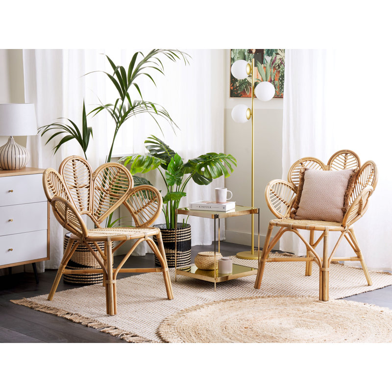Tontogany Patio Dining Armchair with Cushion