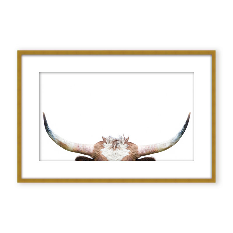Nature Inspired Peeking Longhorn Cow by  - Picture Frame Photograph on Paper, 16" H x 24" W x 1.125" D, Black