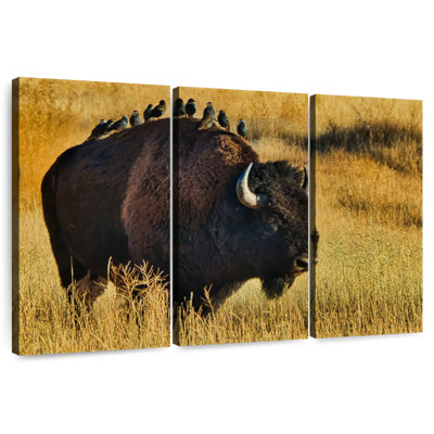 Brampt Birds On Bison