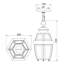 Foresti Outdoor Hanging Lantern