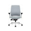 Steelcase Amia Ergonomic Task Chair-323515492-323515497-334359736
