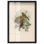 «Poem of New Life Shadowbox», reproduction d'art botanique par Art Remedy
