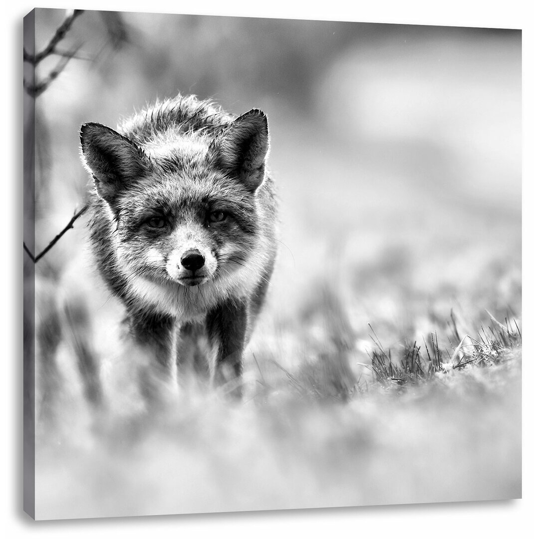 Leinwandbild Schleichender fuchs