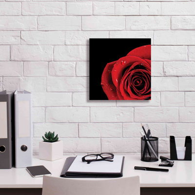 «Pop of Red Rose On Canvas» par Donnie Quillen, reproduction d'art