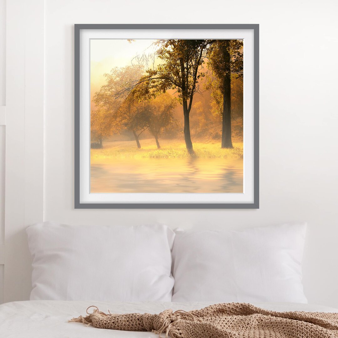 Gerahmtes Poster Autumn Morning