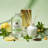 Eucalyptus Tea Reed Diffuser Refill Oil