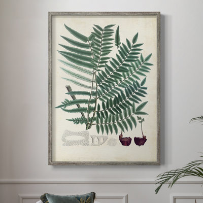 Collection de fougères tirées, reproduction encadrée - bois massif