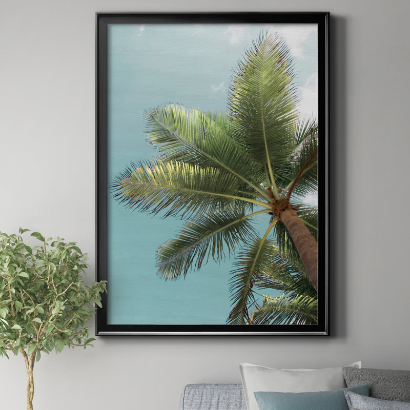 Danita Delimont par J Paul - reproduction de photo sur toile encadrée, H 26,5 po x l 36,5 po x P 1,5 po, Noir