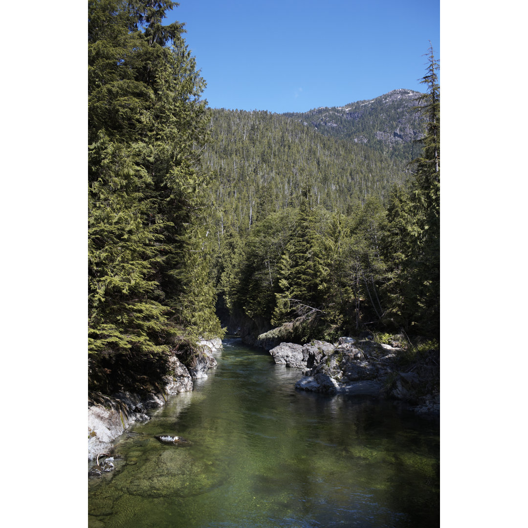 Fluss, der durch Wald und Berge fließt von Ryan McVay - Druck ohne Rahmen auf Leinwand