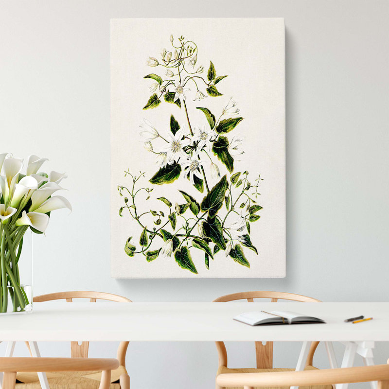 Clematis Flowers by Sarah Featon - Wrapped Canvas, 50cm H x 35cm W x 3cm D