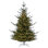 Fir Christmas Tree