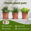 Pot Planter-1156915625-1156915627