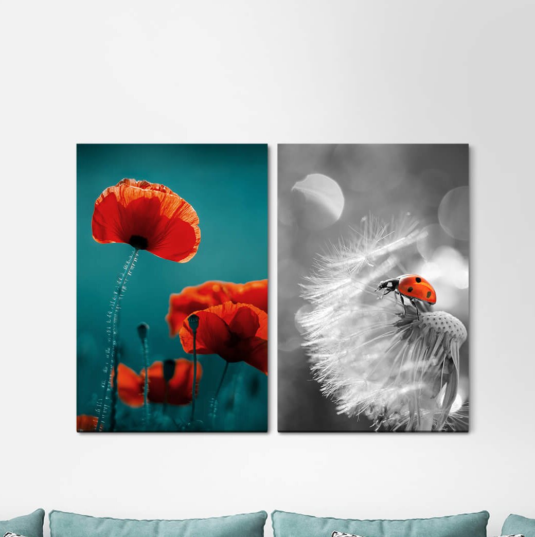 2-tlg. Leinwandbilder-Set - Fotografie „Poppy Flower Blowball Ladybird Lucky Beetle Nature”