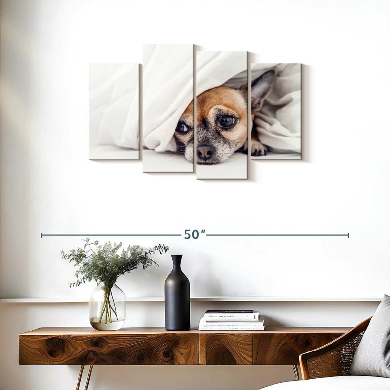 Chihuahua découragé, H 22 po x l 36 po