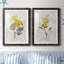 Canari lin géranium - ensemble de 2 reproductions d'art-755692030-755692026-755692021