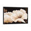 «Amazing Poppies IV», impression sur toile-29090014-72787160-72787161