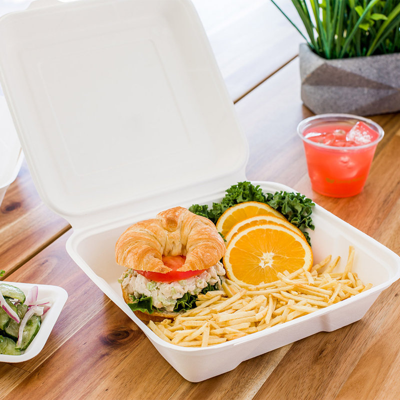 Pulp Tek Disposable Tableware
