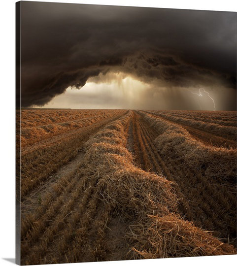 Reproduction de photo de Straub, "Approche de la tempête" par Franz Schumacher, H 24 po x l 24 po x P 1,25 po, Toile