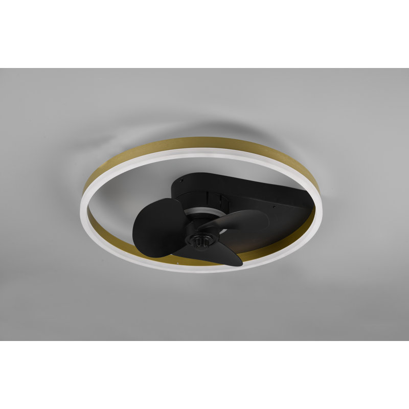 Donnelle 50cm Ceiling Fan with LED Lights, Black