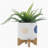 S/2 5/8" FUNKY PLANTER W/ STAND, WHITE