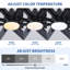 Très grand ventilateur de plafond noir 84 pouces avec télécommande 8 pales