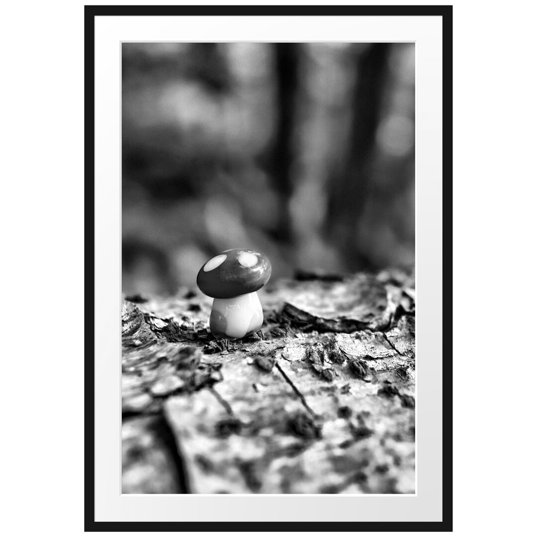 Gerahmtes Poster Kleiner Fliegenpilz auf Baumstamm