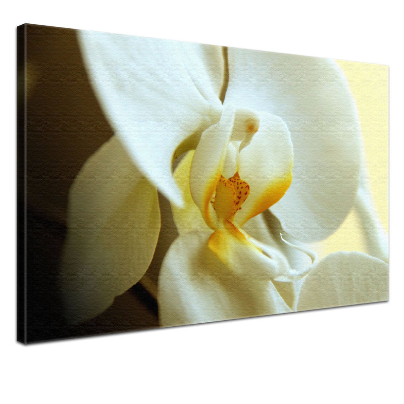 Print on Canvas, 100cm H x 150cm W x 4cm D