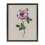 Cadre flottant rose Jewel Rose, design par Sally Swatland-314329793-314329794