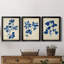 Indigo Leaf Study IV - Ensemble de 3 peintures sur toile encadrées-1576250586-1576250584