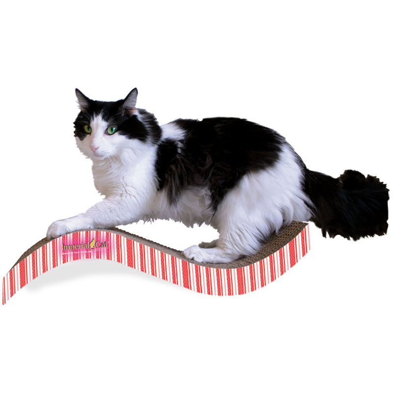 Kimberlin Scratching Post, Valentine B