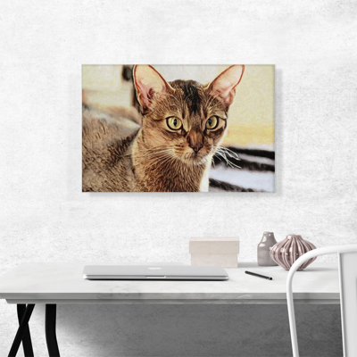 Reproduction sur toile tendue Abyssinian