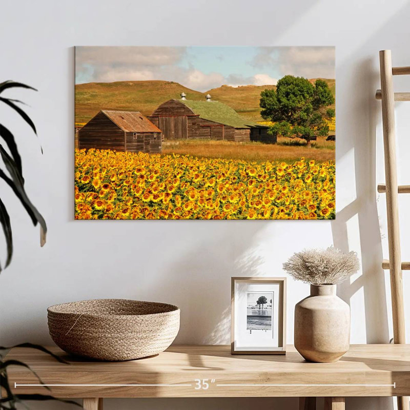 Champ de tournesols Alvord, H 16 po x l 24 po