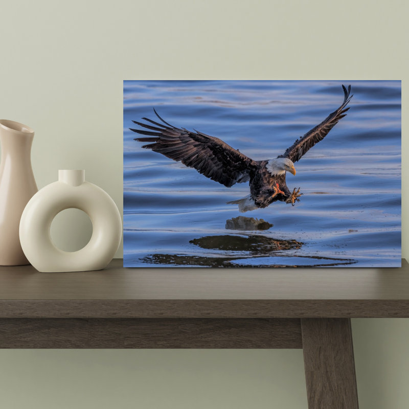 Bald Eagle Water Landing Contemporary Bird Eagle Nature Wildlife Wall Art Print 1 Piece Wrapped Canvas Wall Art