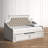 Yuliana Upholstered Daybed with Trundle