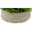 Gazon artificiel 8 po dans un panier-1972723836-1941322100-1972723837