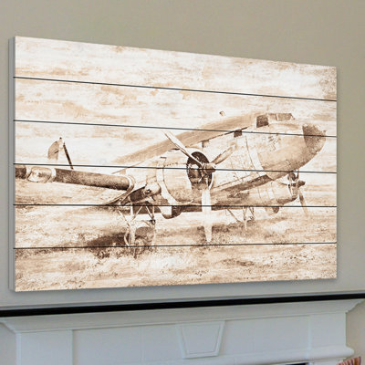 " Plane At Rest "