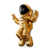 Gold/Black 