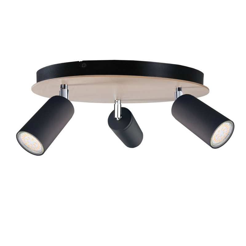 Fayyad Ceiling Spotlight, Black
