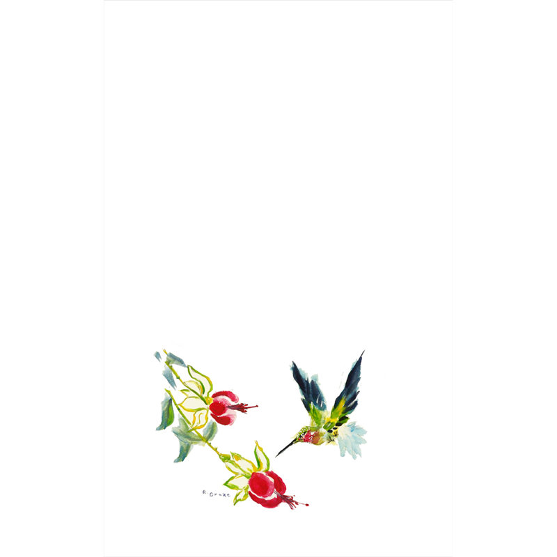 Chiffons hummingbird Sinegal
