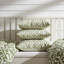 Coussin Plutus Green Beige-103835470-103835479