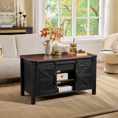 Chanya 48"W Farmhouse Lift Top Storage Coffee Table with Sliding Barn Door, Adjustable Shelf