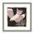 Silver Classic n'est pas disponible
