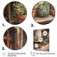 Ribalta Cottage Terrasse Garden I sur impression sur toile-88525268-88525262