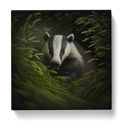 Badger Photograph No.2 - Print