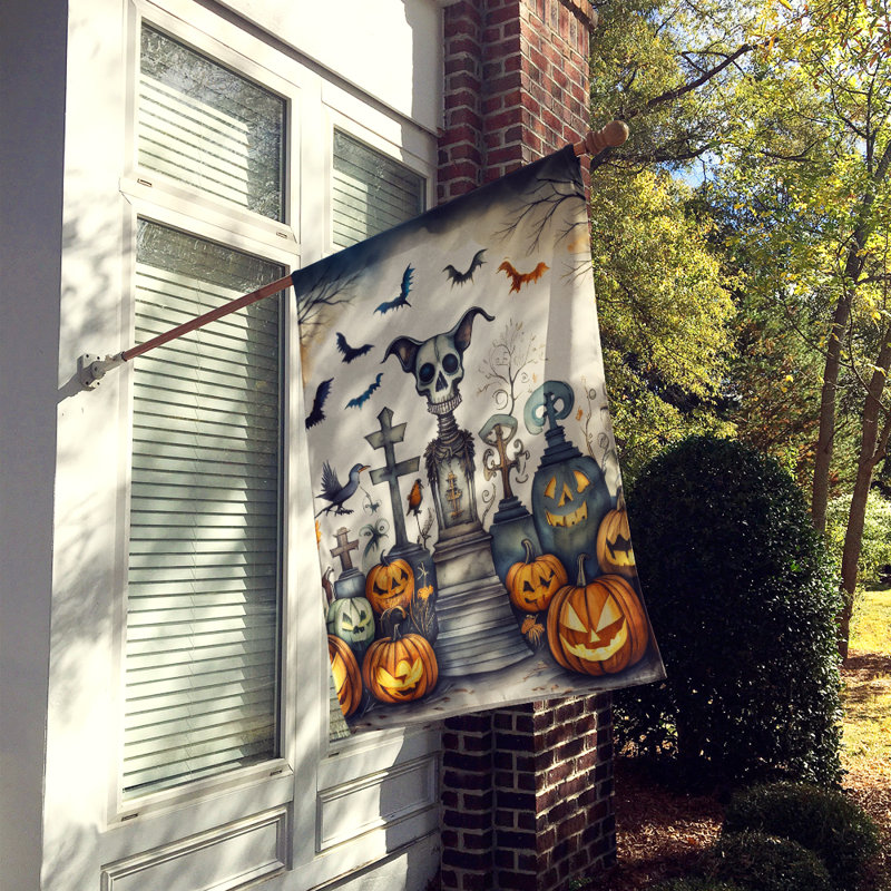 Double Sided 40'' H x 28'' W Polyester Halloween House Flag