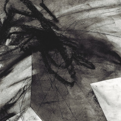 Tenia Charcoal Study I by Lindsey Newman - Wrapped Canvas Print